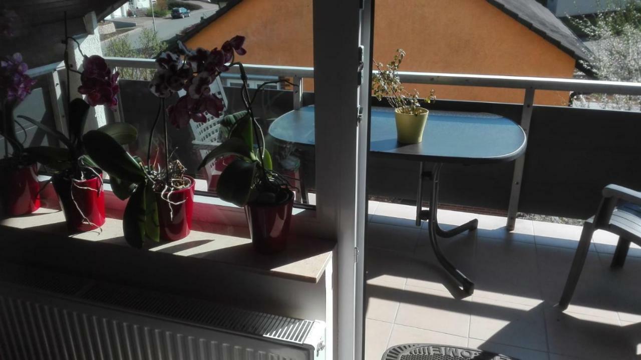 Obere Ferienwohnung Asshoff Zwischen Odenwald, Taubertal Und Bauland Berolzheim Dış mekan fotoğraf