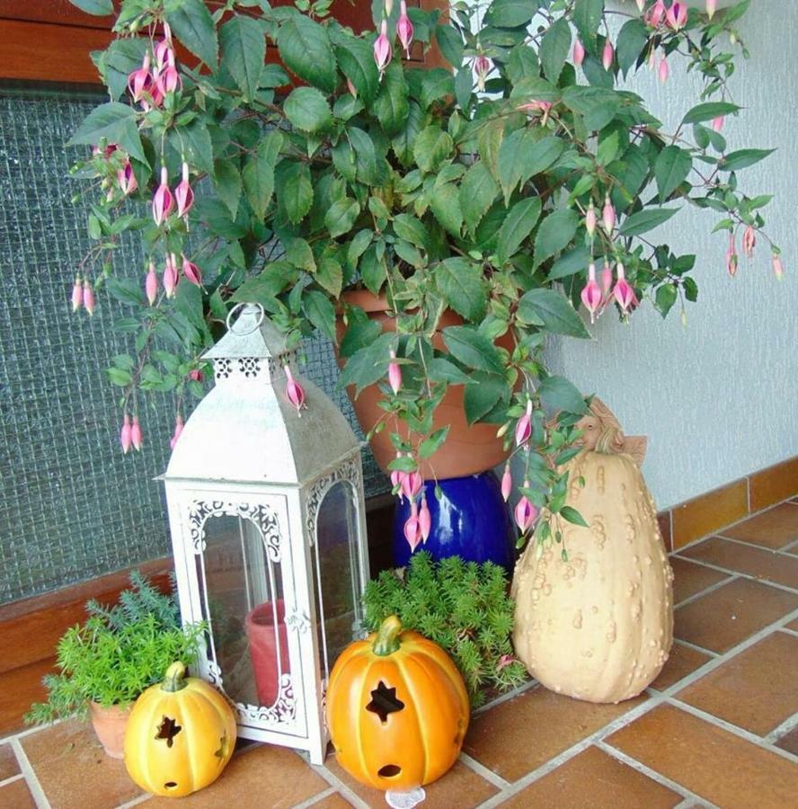 Obere Ferienwohnung Asshoff Zwischen Odenwald, Taubertal Und Bauland Berolzheim Dış mekan fotoğraf
